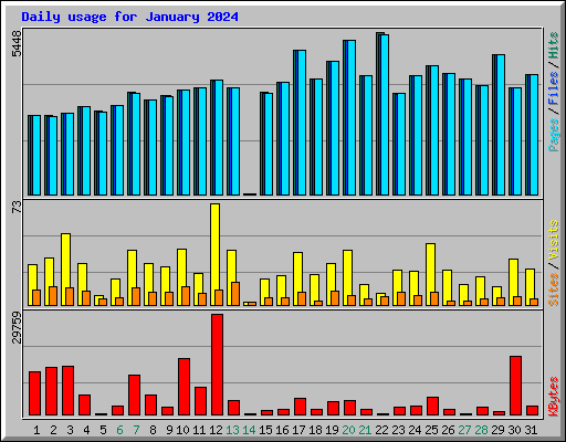 Daily usage for January 2024