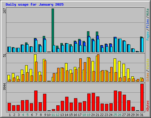 Daily usage for January 2025