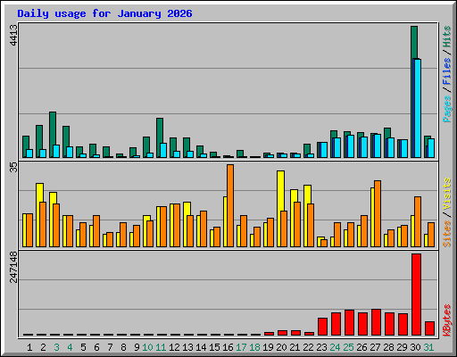 Daily usage for January 2026