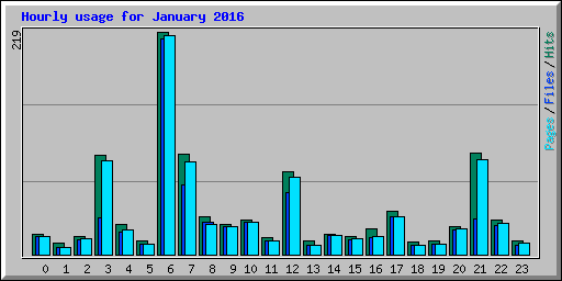 Hourly usage for January 2016
