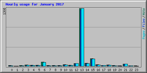 Hourly usage for January 2017