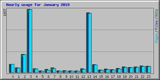 Hourly usage for January 2019