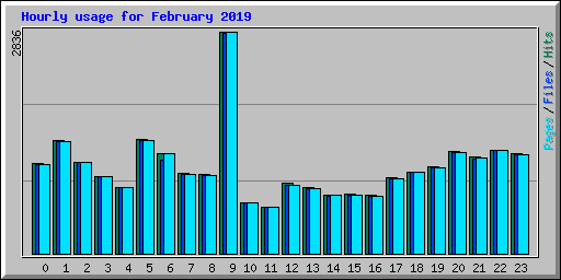 Hourly usage for February 2019
