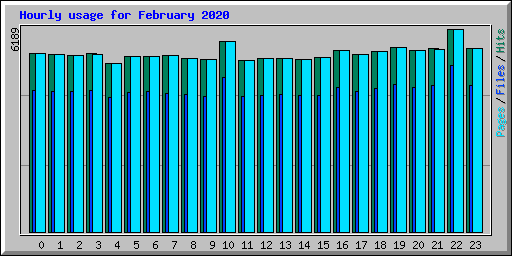 Hourly usage for February 2020