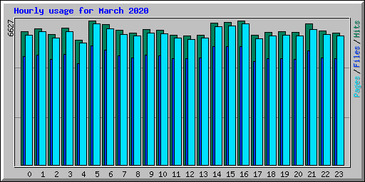 Hourly usage for March 2020