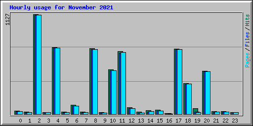 Hourly usage for November 2021