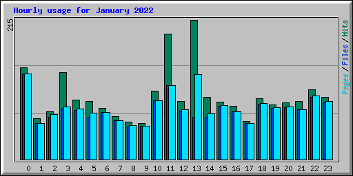 Hourly usage for January 2022