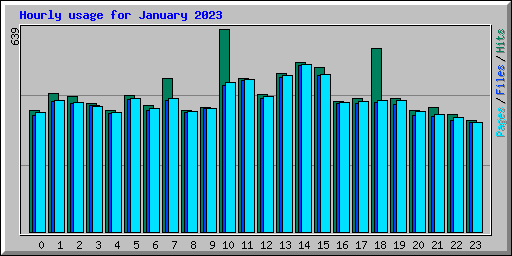 Hourly usage for January 2023