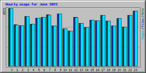 Hourly usage for June 2023