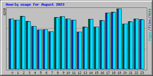 Hourly usage for August 2023