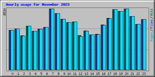 Hourly usage for November 2023
