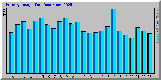 Hourly usage for December 2023