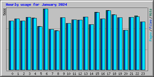 Hourly usage for January 2024