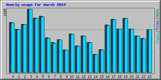 Hourly usage for March 2024