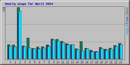 Hourly usage for April 2024