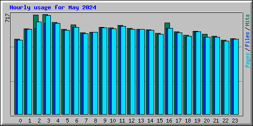 Hourly usage for May 2024