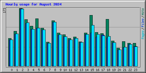Hourly usage for August 2024