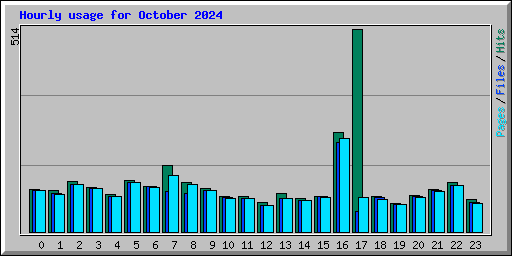 Hourly usage for October 2024