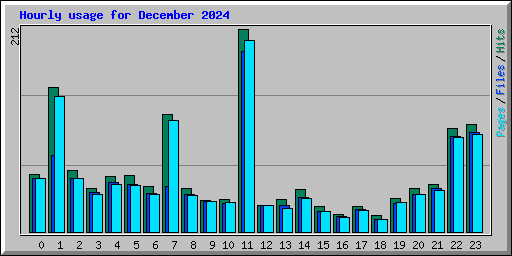 Hourly usage for December 2024