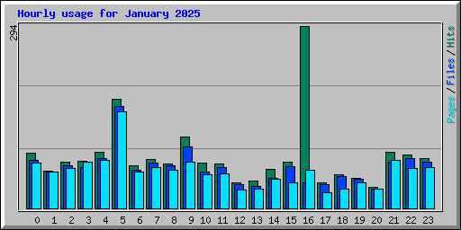 Hourly usage for January 2025