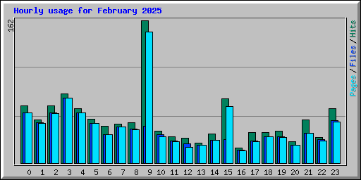 Hourly usage for February 2025