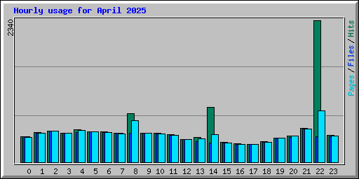Hourly usage for April 2025