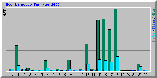 Hourly usage for May 2025