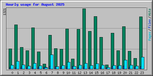 Hourly usage for August 2025