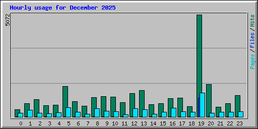 Hourly usage for December 2025