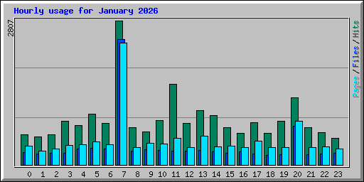 Hourly usage for January 2026
